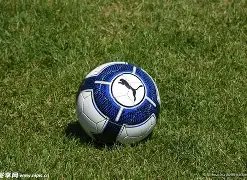 惊喜连冠,拉齐奥主场,激战克雷莫,乐鱼体育,乐鱼电竞平台,LEYU,SPORTS