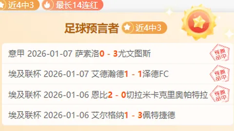 波切蒂诺视芒特为切尔西革新关键，对其未来仍感困惑。