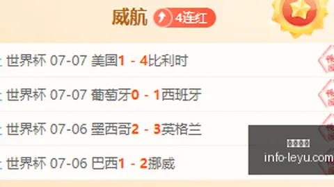 世界杯深度解析：数日钻研，精华尽收