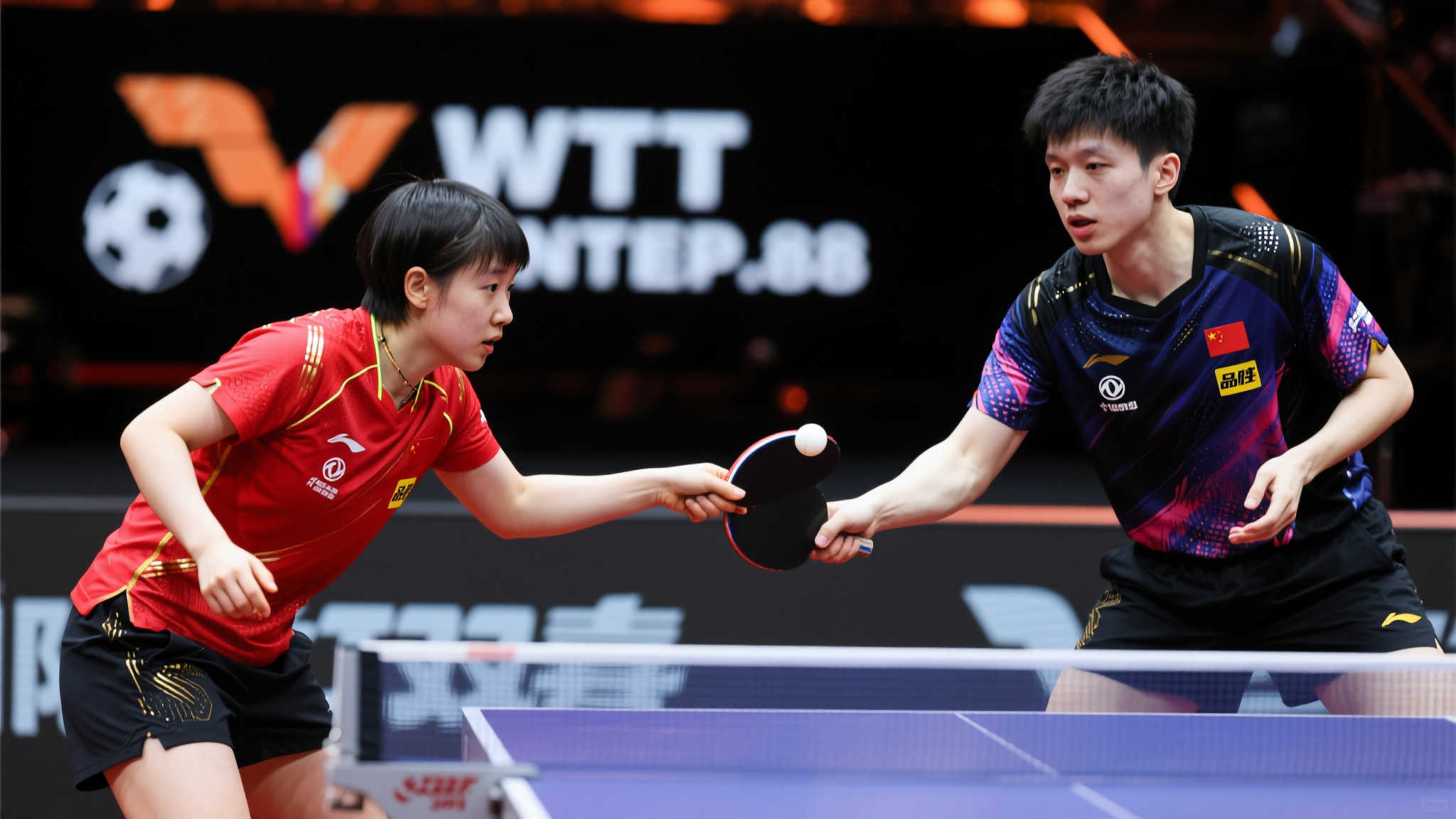 他们在多次 他们在多次